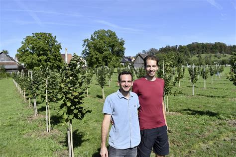 Der Schweizer Bauer Pionierarbeit für Schweizer Haselnüsse