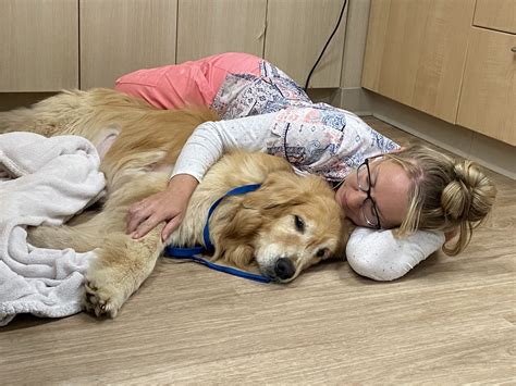 Euthanasia - Veterinary Urgent Care Center