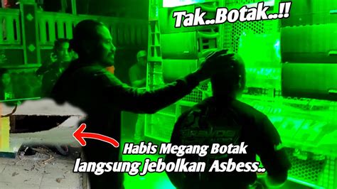 Mas Bre Habis Megang Pala Botak Brewog Langsung Rontokkan Asbes Youtube