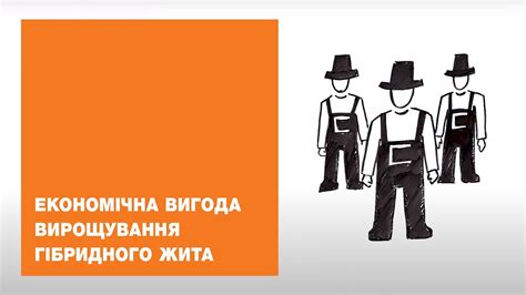 Економічна вигода вирощування гібридного жита | КВС-УКРАЇНА - YouTube