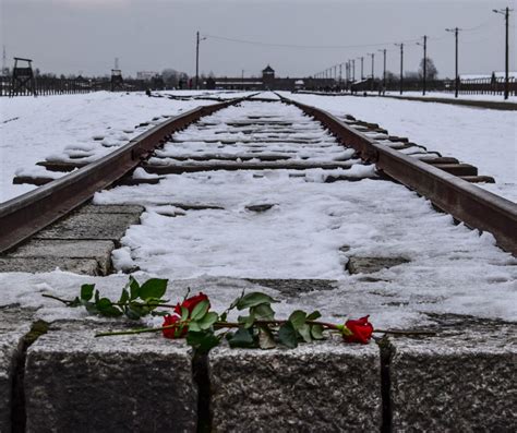 Investing in Global Education has the Potential to Prevent Genocide