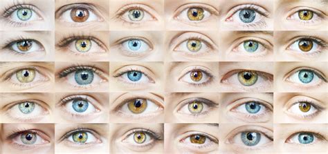 eye colors   eye