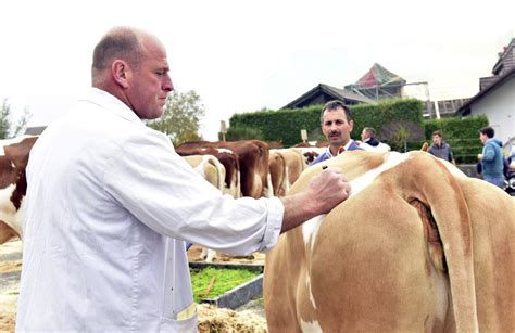 Der Schweizer Bauer Note drei ist das höchste der Gefühle