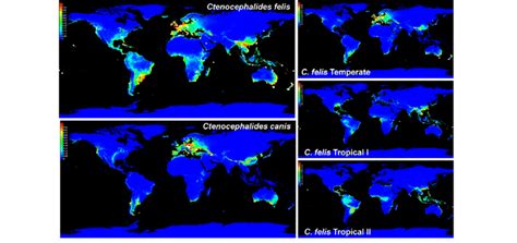 Predicted Global Geographic Distribution Of Suitable Habitat Zones For