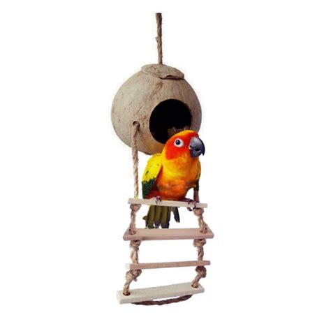 Buy Natural Wooden Parrot Toys Coconut Shell Wood