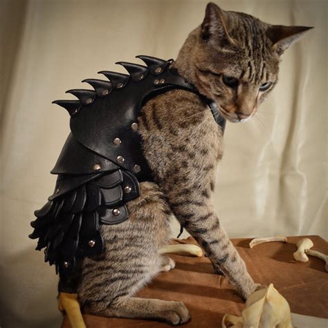 Cat Battle Armor Bespokebug