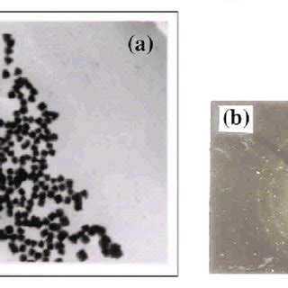 A Bright Field Tem Micrograph And B Saed Pattern Of Znmoo Powders