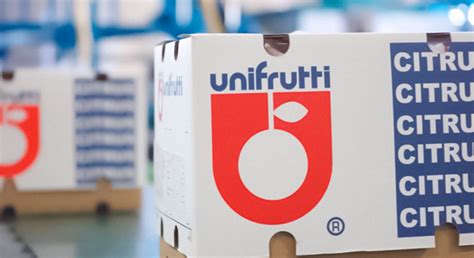 El Grupo Unifrutti Adquiere Verfrut Blueberries Consulting