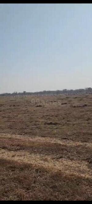 Agriculture Farm Land For Sale In Chevella Hyderabad 598 Sq Yard