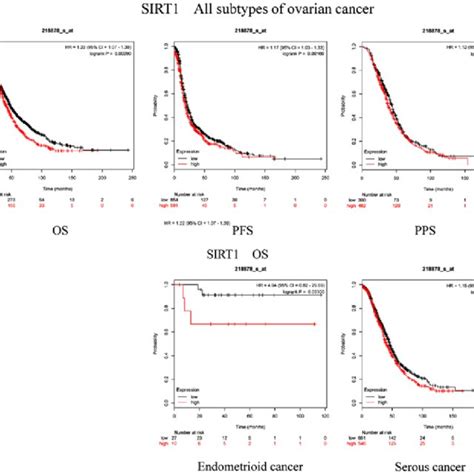 Prognostic Significance Of Sirt Mrna Expression In Oc Patients