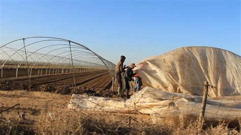 Farm Acetaria Maroc Vlog 3 Comment Préparer Une Serre🤔🤔🤔 How To Prepare A Greenhouse