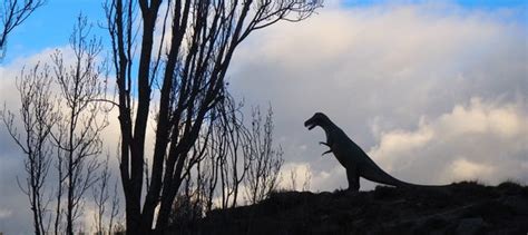 Ruta De Los Dinosaurios Por Enciso Reserva En Civitatis