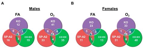 Antioxidants Free Full Text Differential Sex Dependent Regulation