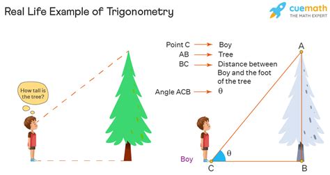 Trigonometry - What is Trigonometry? Formulas, Table, Examples