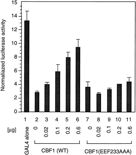 A Histone Deacetylase Corepressor Complex Regulates The Notch Signal