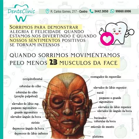 Infográfico sobre Músculos do Sorriso na Face Humana criado para