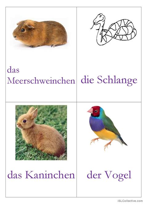 Flashcards Tiere Wort Flash Karten Deutsch Daf Arbeitsbl Tter Pdf Doc