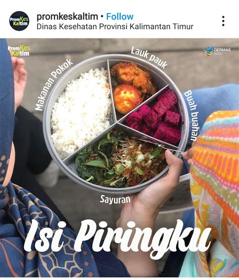 Bagaimana Menu Isi Piringku Yang Benar