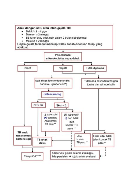 Alur Diagnosis And Skoring Tb Anak Pdf