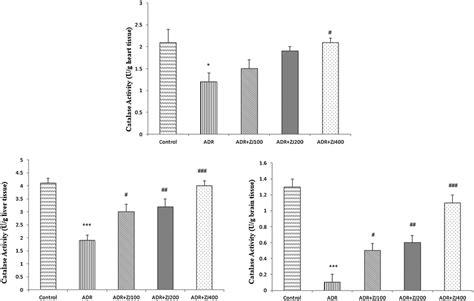 Comparison Of The Catalase Activity In The Heart Liver And Brain