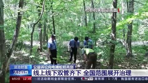 “土壤卫士”蚯蚓遭滥捕 公益诉讼向电捕蚯蚓亮剑 荆楚网 湖北日报网