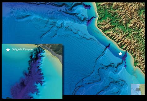 Noaa Releases New Views Of Earths Ocean Floor Science News Ocean