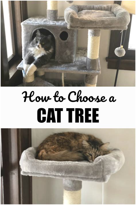 How To Choose A Cat Tree Use These Helpful Tips To Find The Best Cat