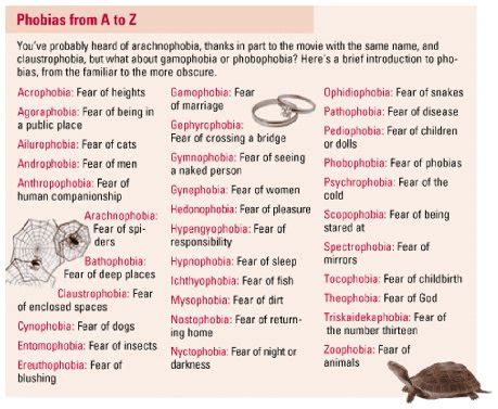 Different Types: Different Types Of Phobias