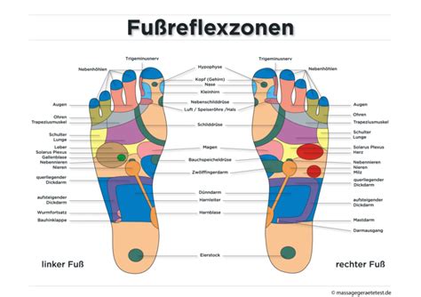 Übersicht über Fußreflexzonen Infografik Doccheck