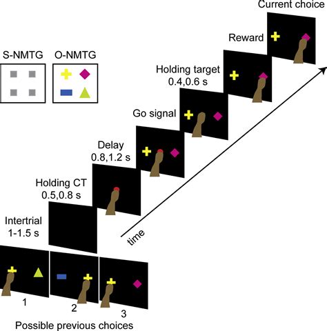 Neural Intrinsic Timescales In The Macaque Dorsal Premotor Cortex