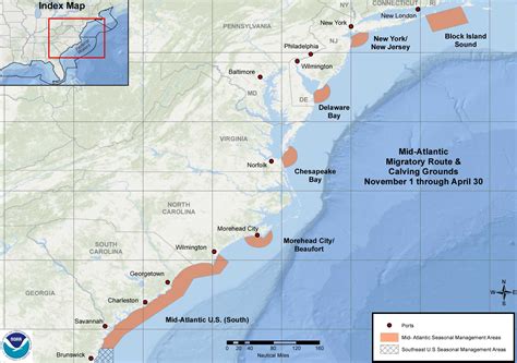 Important Or Sensitive Species Guilds And Habitats Mid Atlantic