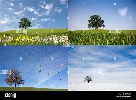 Four Seasons Hi Res Stock Photography And Images Alamy