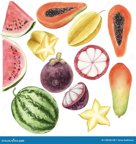 Hand Drawn Brigt Colorful Watercolor Set Of Tropical Fruits Isolated