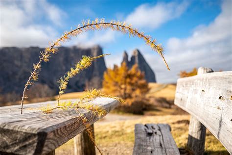 Segnali D Autunno JuzaPhoto