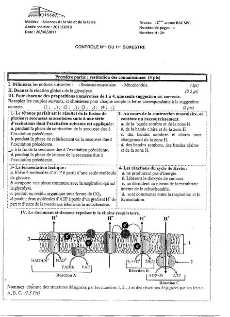 Devoir Maison De Svt Me Svt