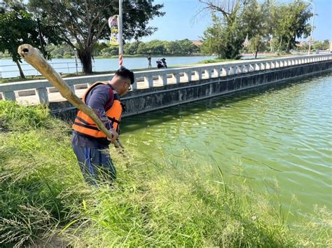 天熱太湖等魚群暴斃 金門水廠：持續清理水質正常 地方 中央社 Cna