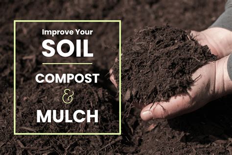 Improve Your Soil With Compost And Mulch