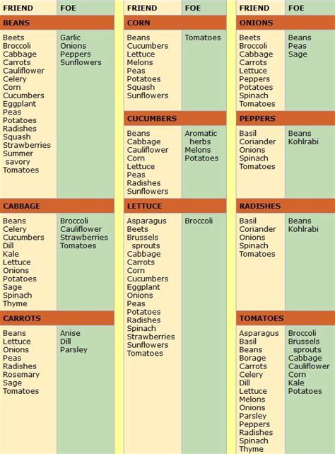 Companion Planting Guide For Vegetables Tomato Companion Plants