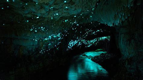 1080p Wallpaper Waitomo Glowworm Caves New Zealand