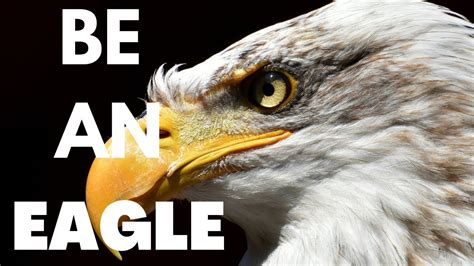 The Eagle Attitude Eagle Mentality Powerful Motivational Video Youtube