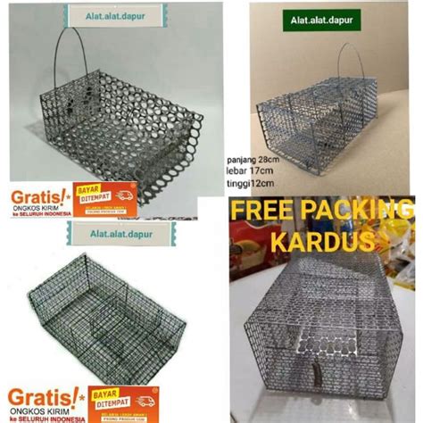 Jual Perangkap Tikus Jebakan Tikus Sentreg Shopee Indonesia