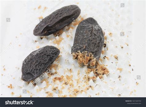 12 Tonka cabbage Images, Stock Photos & Vectors | Shutterstock