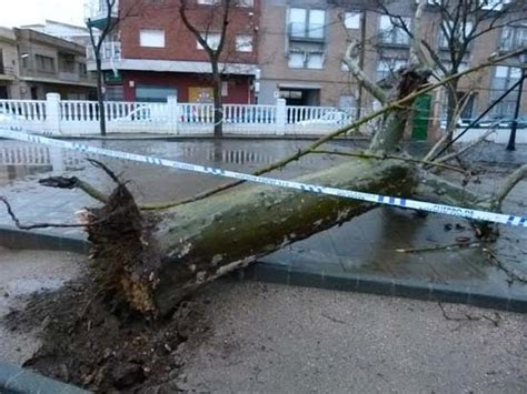 El viento se lleva por delante señales y arranca de cuajo un árbol en