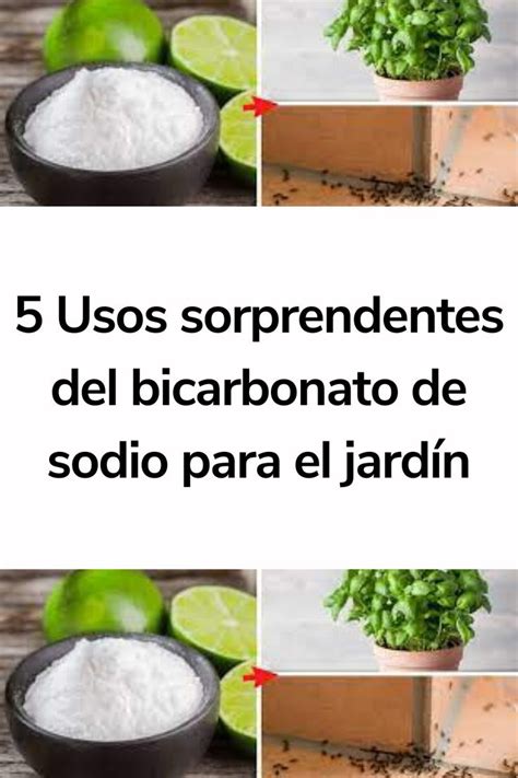 5 Usos sorprendentes del bicarbonato de sodio para el jardín