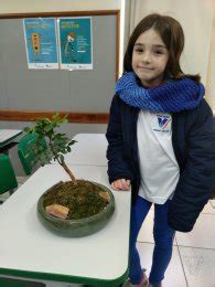 Rede Vicentina de Educação Colégio Vicentino São José Foz do Iguaçu