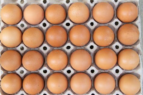 Fresh Rural Brown Eggs Packed Into A Cardboard Container Stock Photo