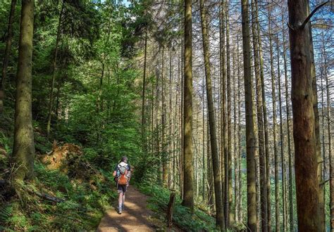 Wandern Im Schwarzwald Abenteuerwege Reisen