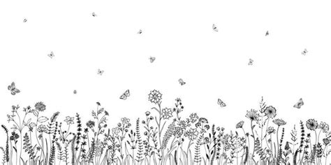 Wildflowers Vector Art Icons And Graphics For Free Download