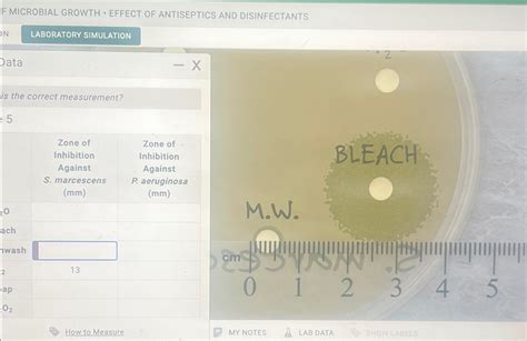 Solved F Microbial Growth Effect Of Antiseptics And Chegg