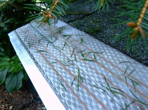 Compare 8 Best Gutter Guards 2024 Top Brands Reviewed Ecowatch